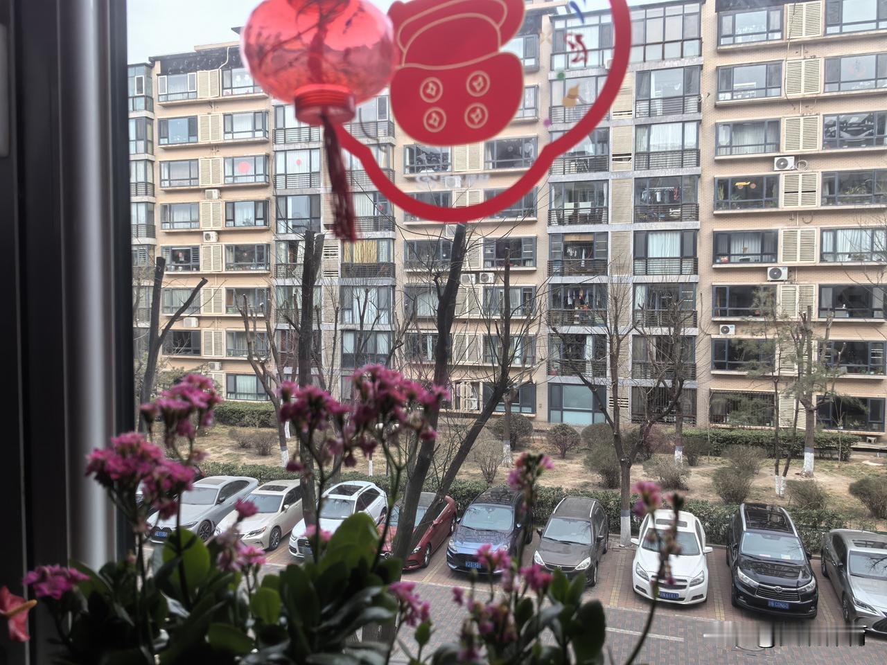 天南地北大拜年张灯结彩过大年