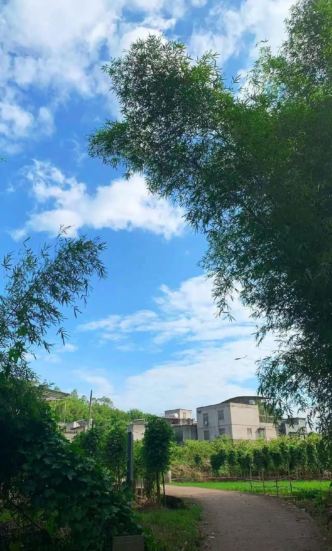 乡下的天空，真的蓝啊
