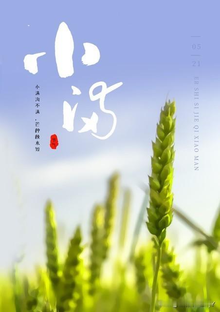 今日小满民间俗语（农历四月初五）
一、核心农谚（最常说）
- 小满时节，麦粒渐满