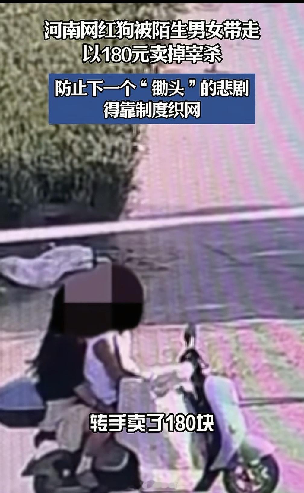 锄头一案最终刑事立案，是舆论争来的侥幸胜利，却绝非制度的常态。热度会停，但恶意不