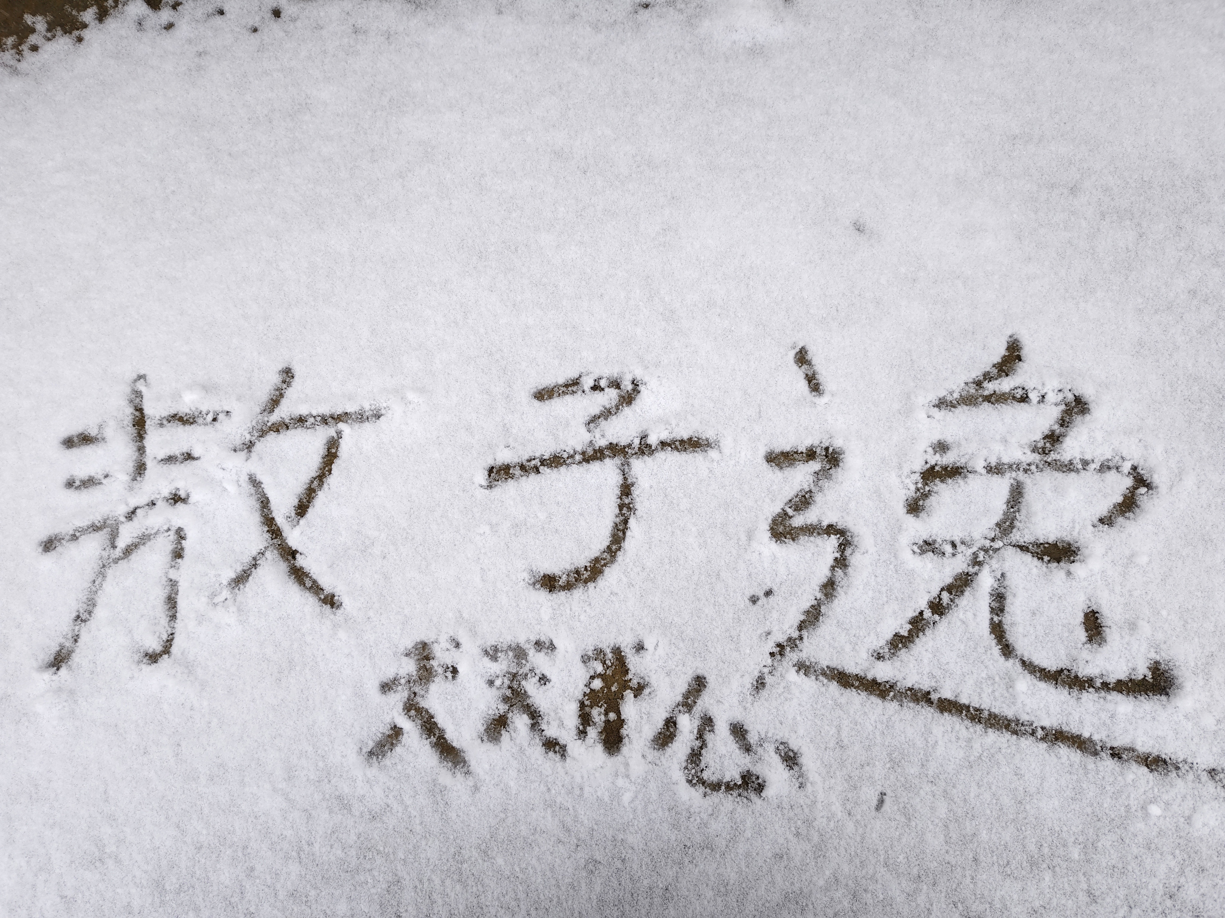 第一场雪🌨️ 