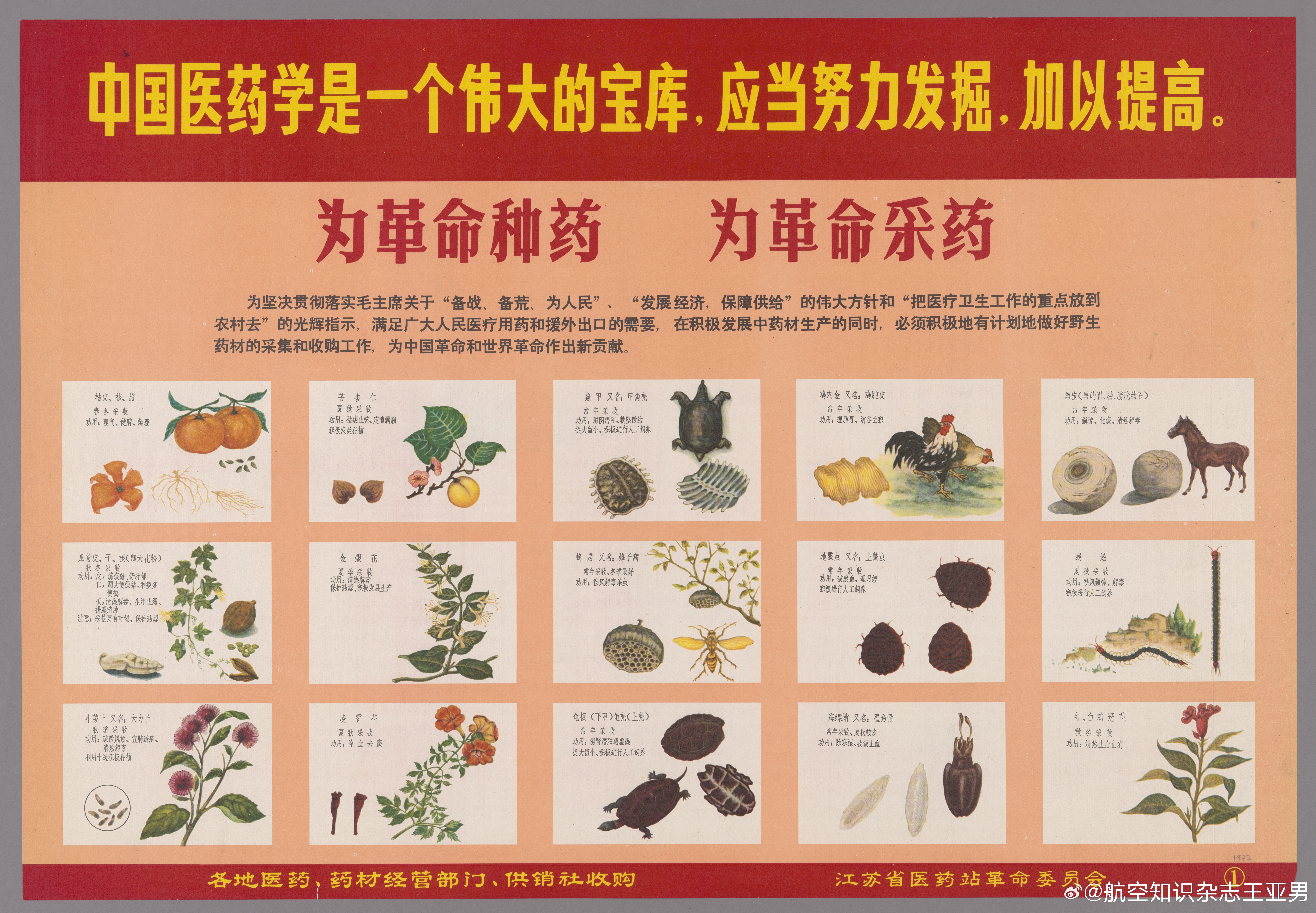 中国古代医药肯定是一个宝库，今天如何发展是一个重大命题——如此多的中草药，其成分