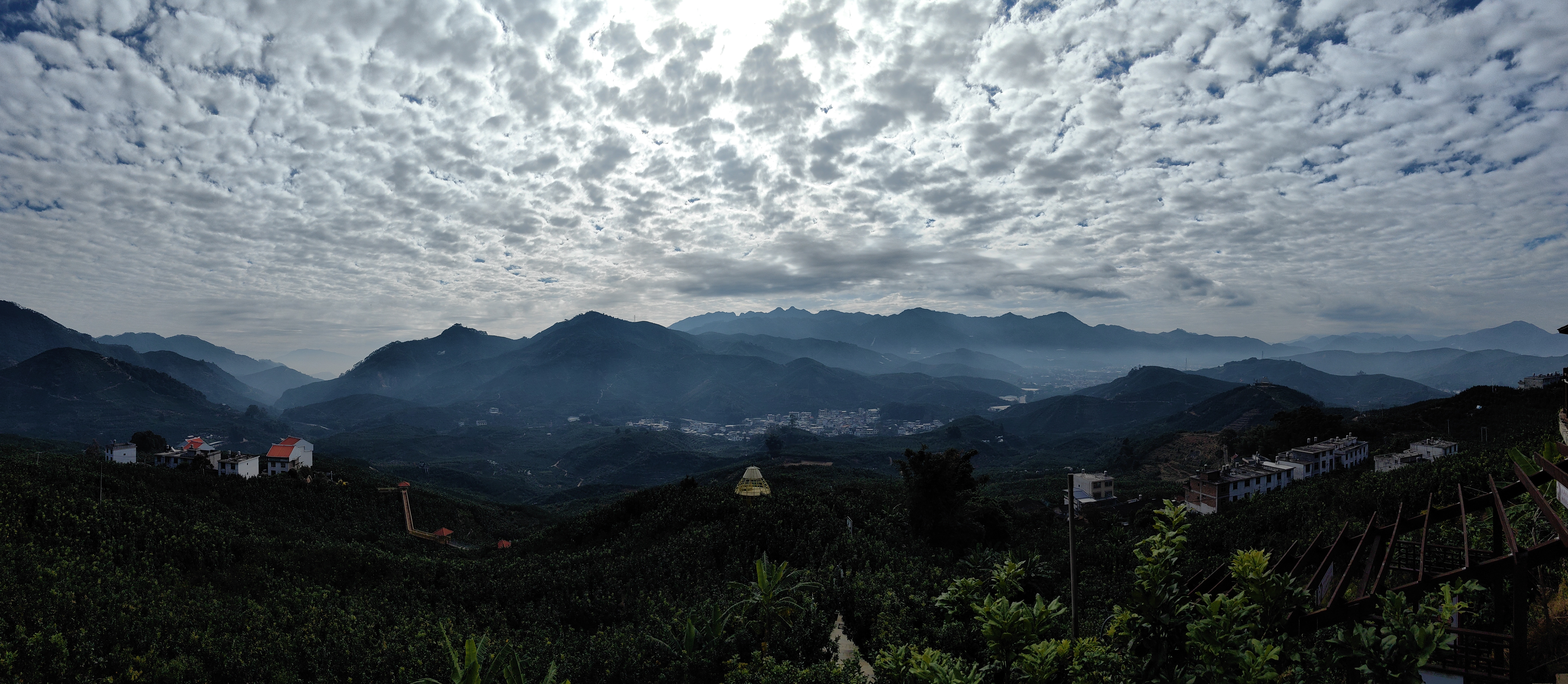 新质福建万千气象【福建省平和县高寨村：柚香漫山的闽南桃源】社会调查大多是沉闷的，