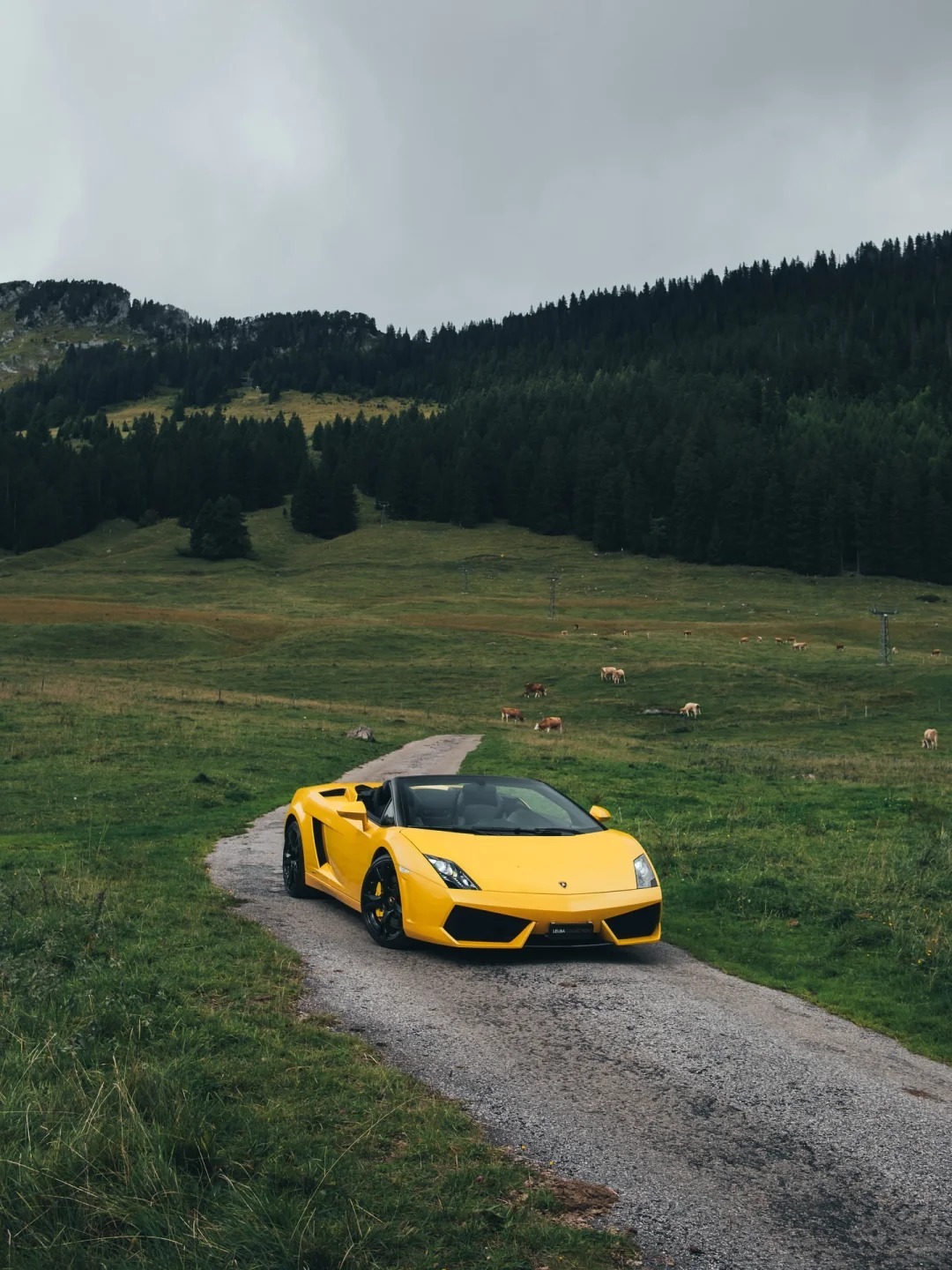 经典的Lamborghini Gallardo Spyder，天苍苍，野茫茫，风