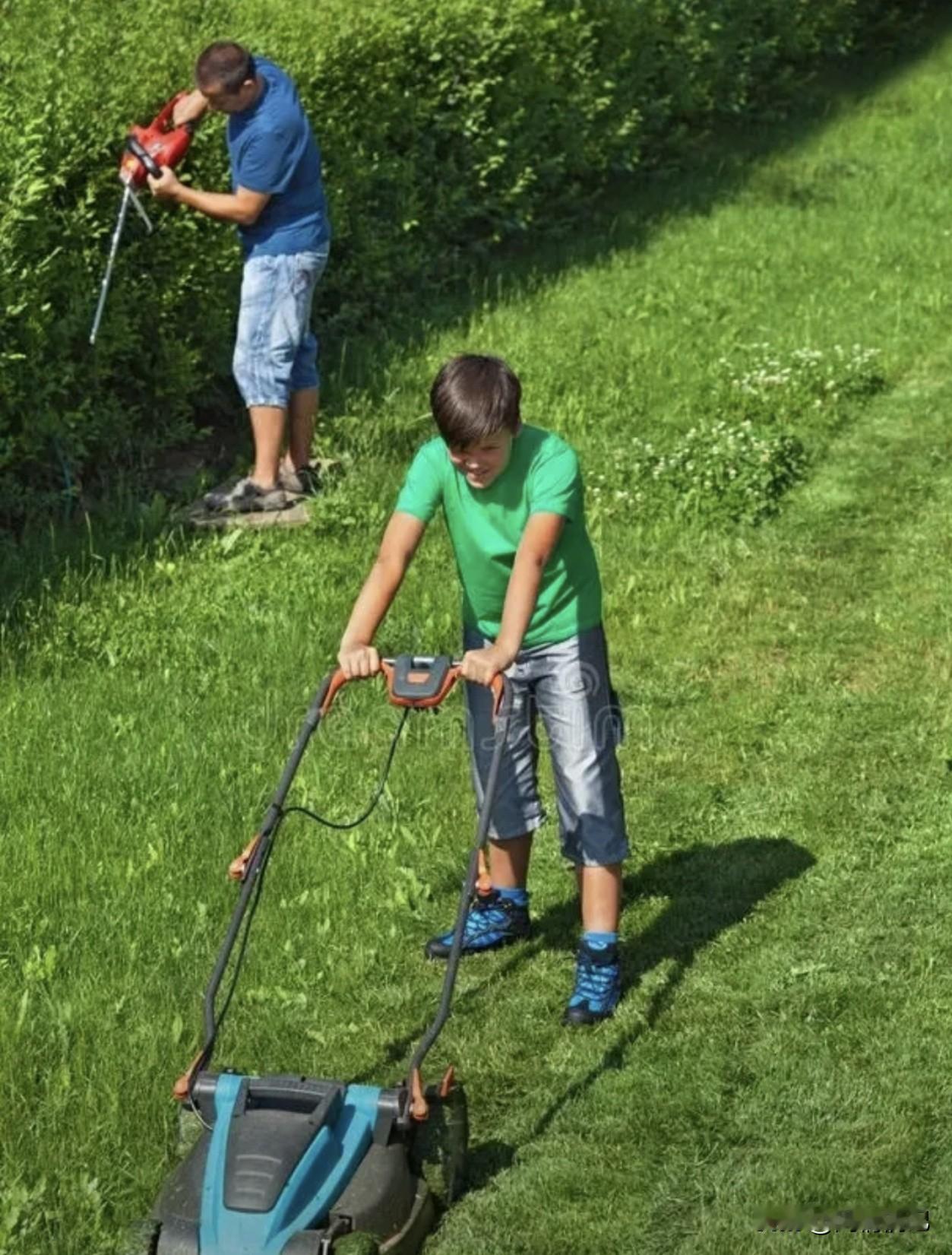 移民澳洲的人，现在大部分人都后悔了！  

不是环境不好，而是太好了，好到你每天
