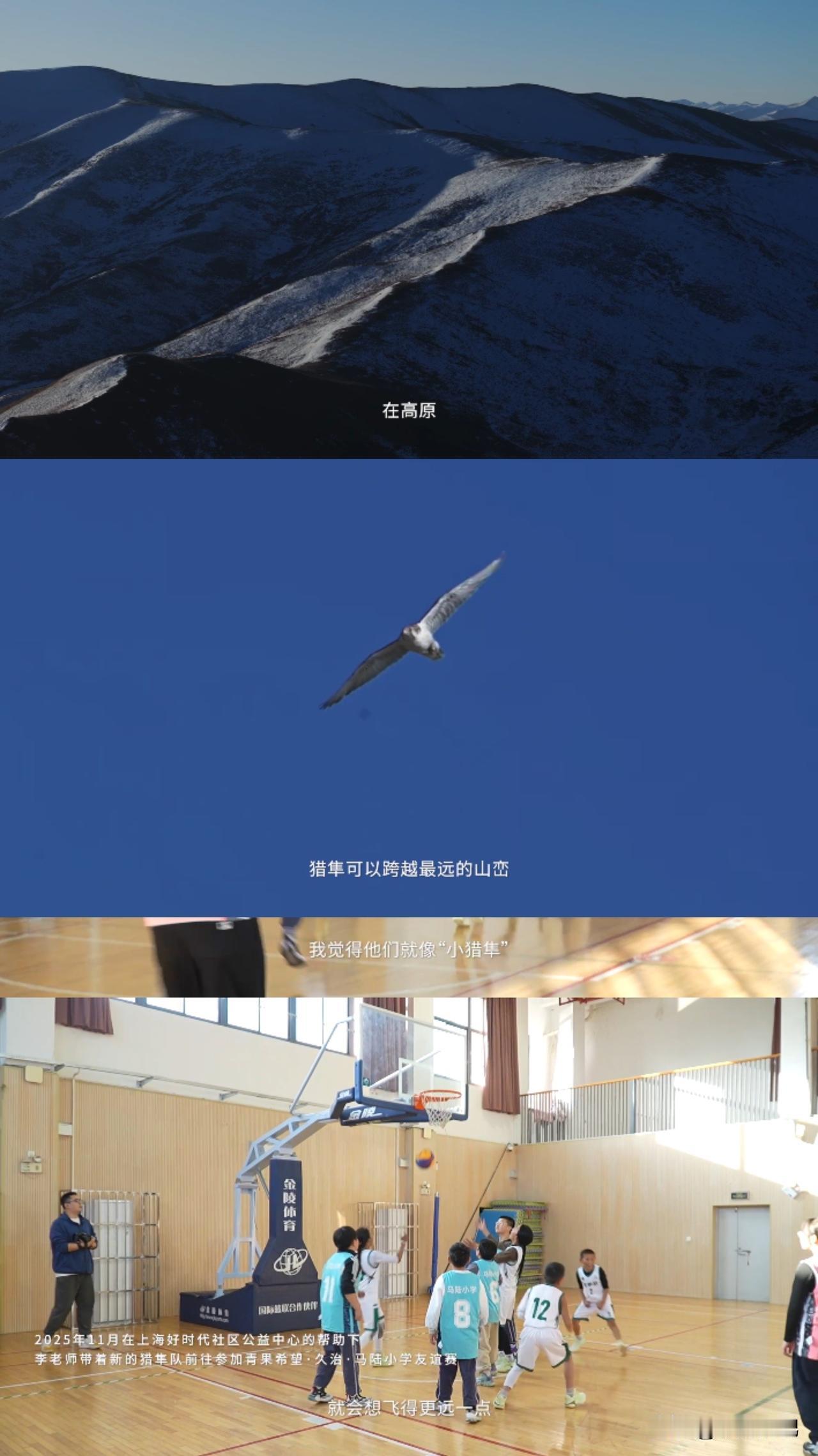 95后老师的接力，让青海草原的足球梦有了翅膀！

刷到关于青海猎隼队的故事，真心