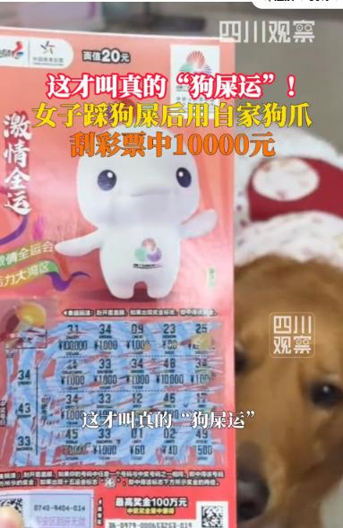 这才叫“狗屎运”！12月2日报道，广东深圳，一女子晚上遛狗时，不小心踩到了狗屎，