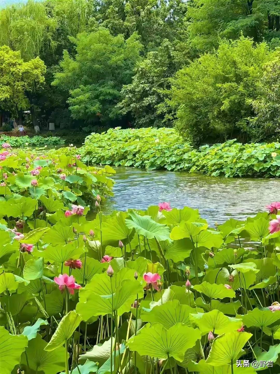 长寿不靠运动饮食，这10个“懒习惯”才是关键
 
1. 懒得生气
遇事不钻牛角尖