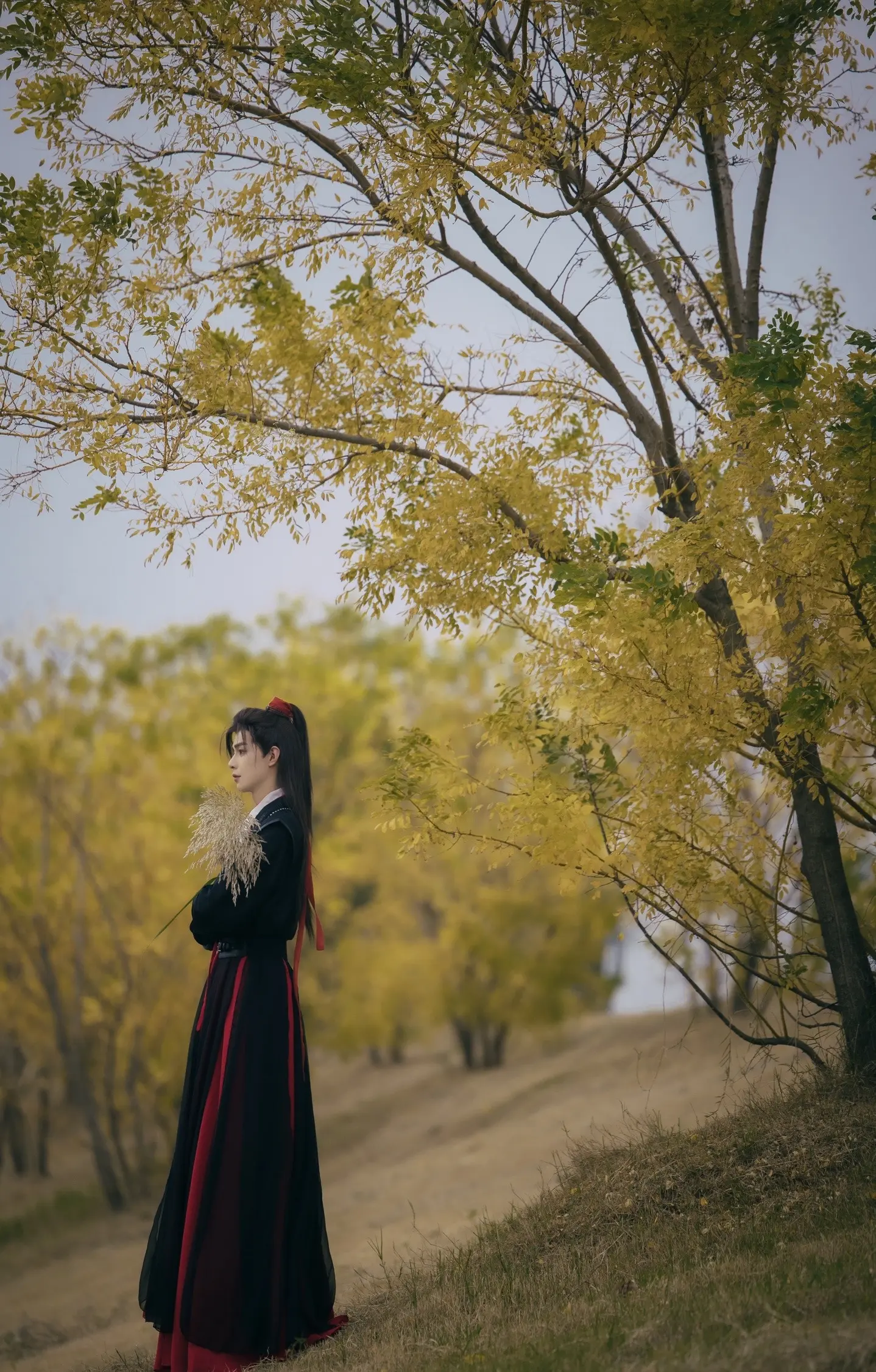 踏风而来的翩翩少年。