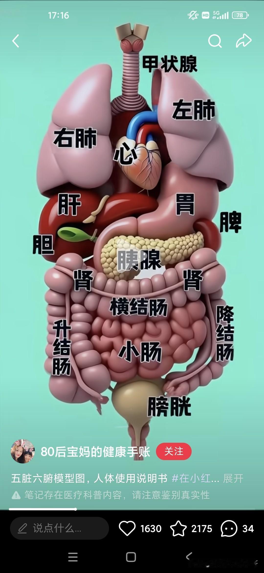 在上周日的时候，我连续上了4~5节网球课，大家运动了四五个小时，到晚上七八点的时