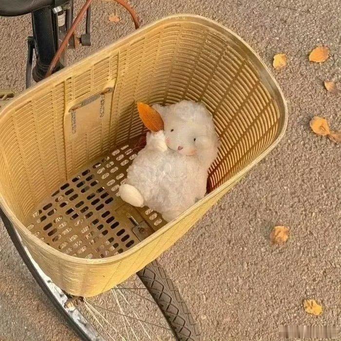 我的私人宝藏书单书评读书让我享受到了长久的宁静 人不是苟死苟活的物类，不是以过程