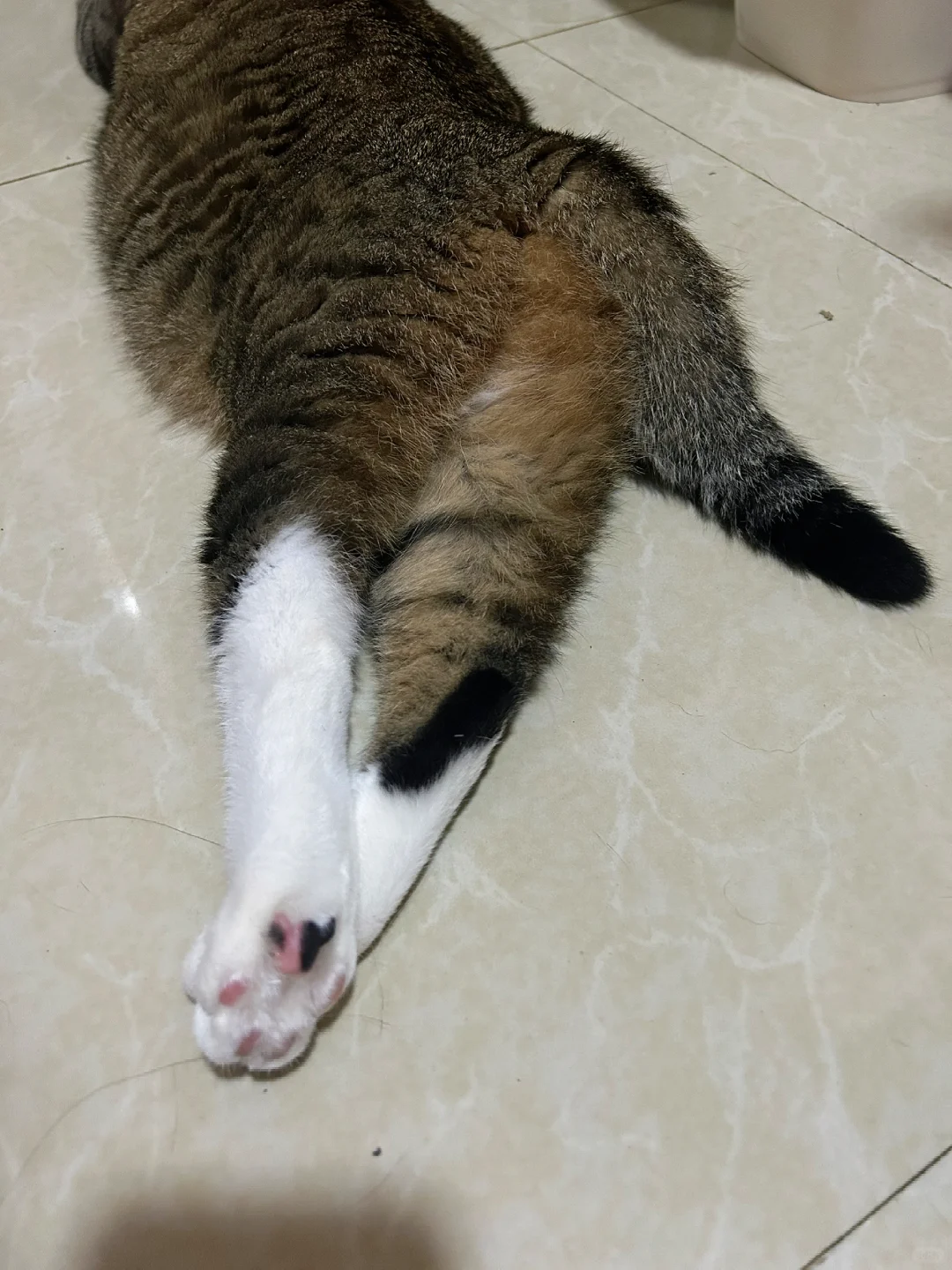 谁教你搭这小腿的～