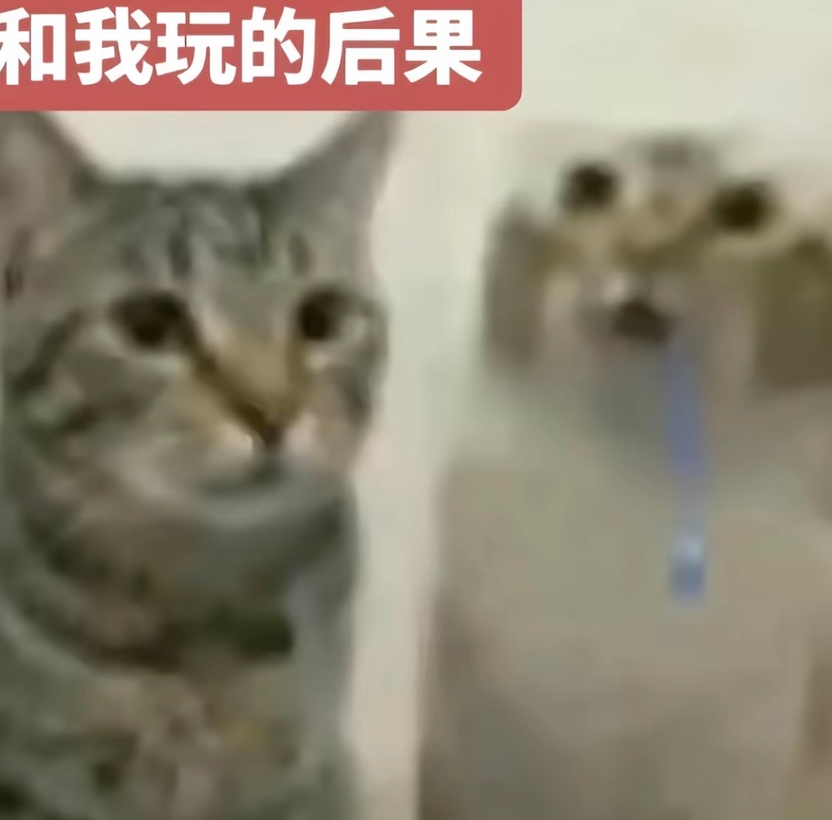 对不起 这就是和我玩的后果 