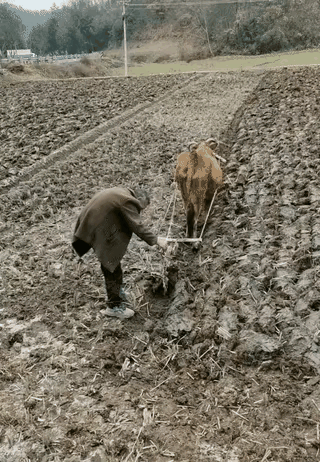 我要自力更生、坚苦奋斗，不要退休金，决不麻烦国家。