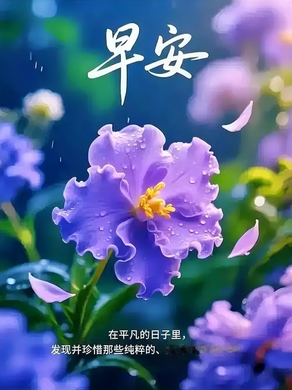 早安愉快呀！鲜花与暖阳相伴，生活处处藏着惊喜，愿欢笑与安康甜进每一天～
分享早安