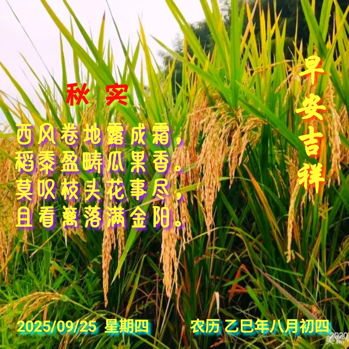 秋实