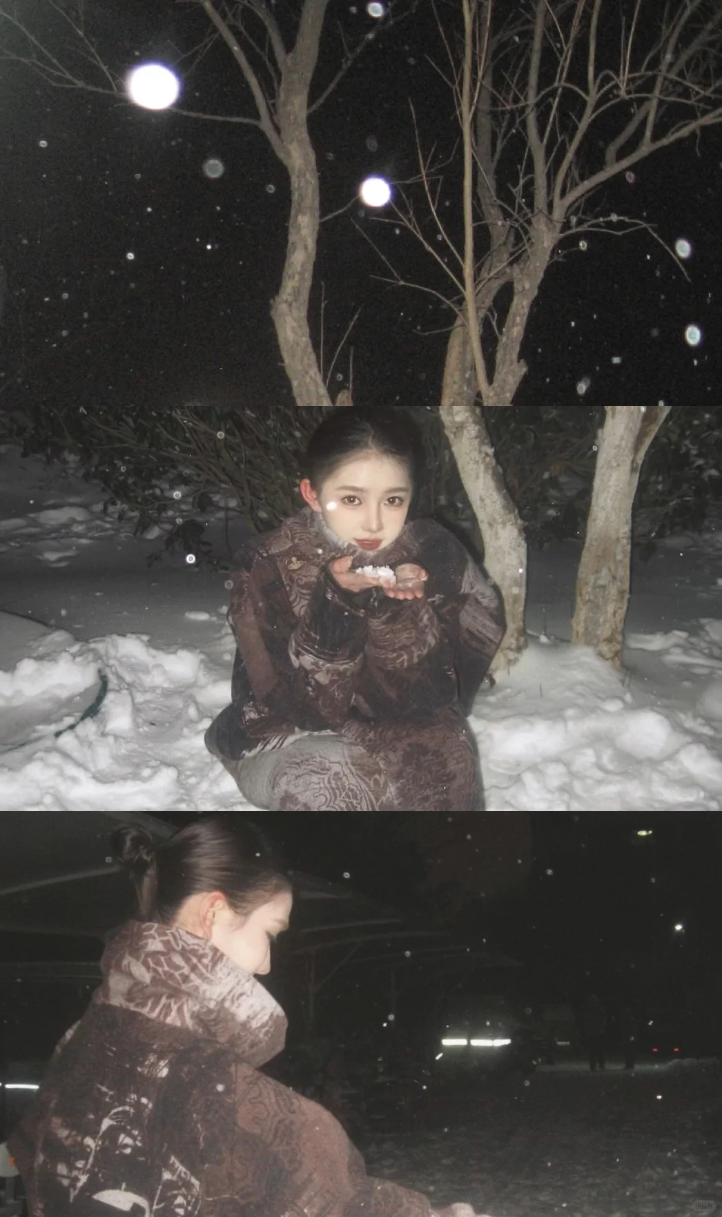 雪の華