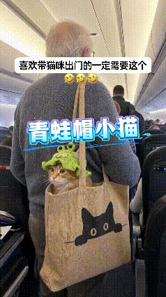 刷到这一幕，实在是太可爱了。
小橘猫待在帆布猫包里面，头上戴着一顶绿油油的青蛙针