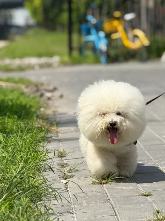 踏着矫健的步伐去去美容😳