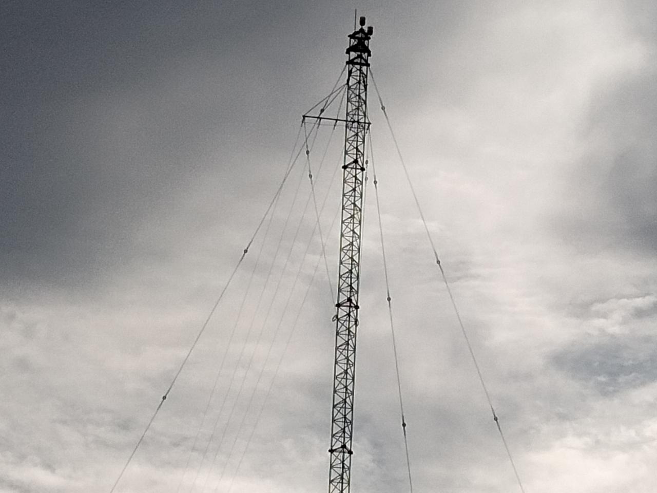 发一组照片，供师友乐哈，见过的不多，知道它作用的人更少。