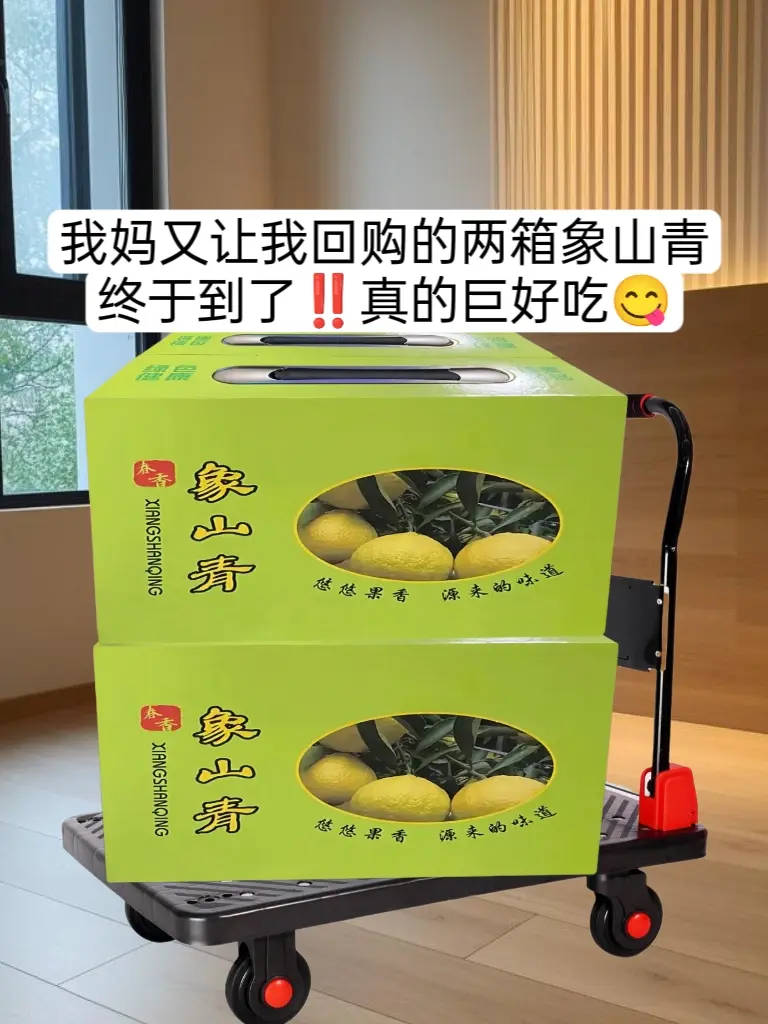 姐妹们，我挖到了一款宝藏水果啦，快来尝尝鲜哟！就是这个象山青柑橘真的太...