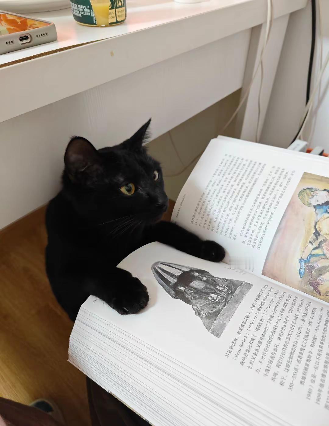 苏联式的前进 ✨