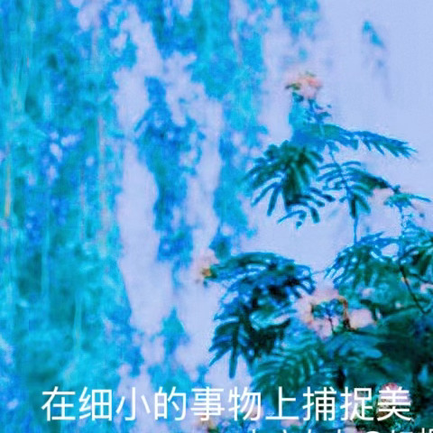 日行一善 💚 阳光信用 善不可不弘，恶不可不去。 善心人人有，快乐你我他。 善