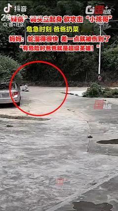 “不幸中的万幸！”广东惠州，一小孩在街上玩溜溜车时，突然看到有条蛇朝他袭来，小孩