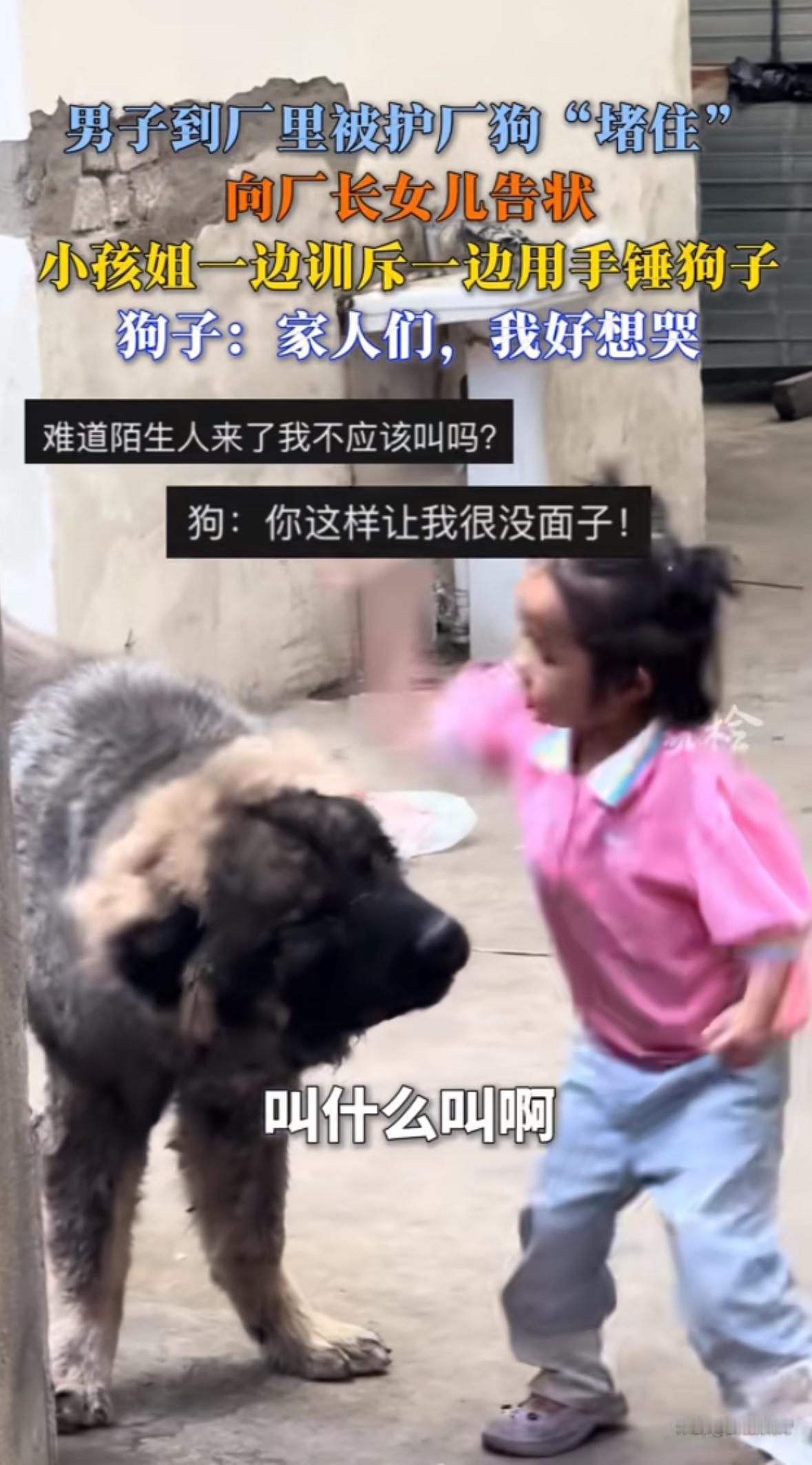 “厂门口那条护厂狗又把我堵了！我找厂长女儿理论，结果她爸养的狗比她爸还横！”这两