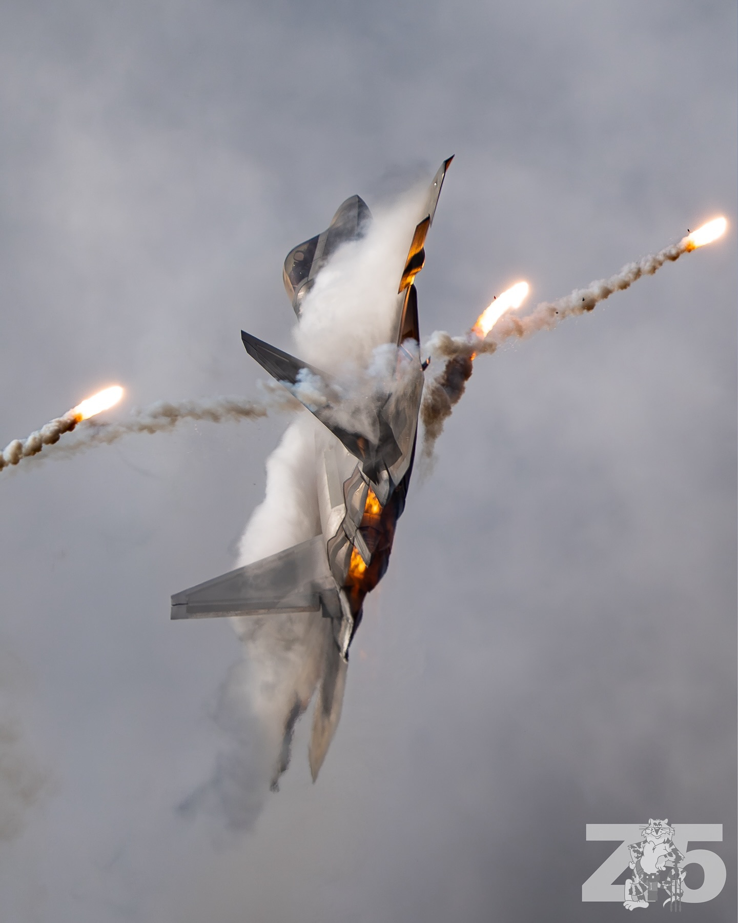 奥申纳航空节上的F-22表演 ​​​