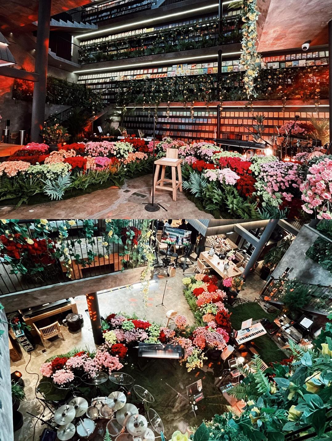 2026年8月19日的康乃馨是我见过最美丽的花海！ 