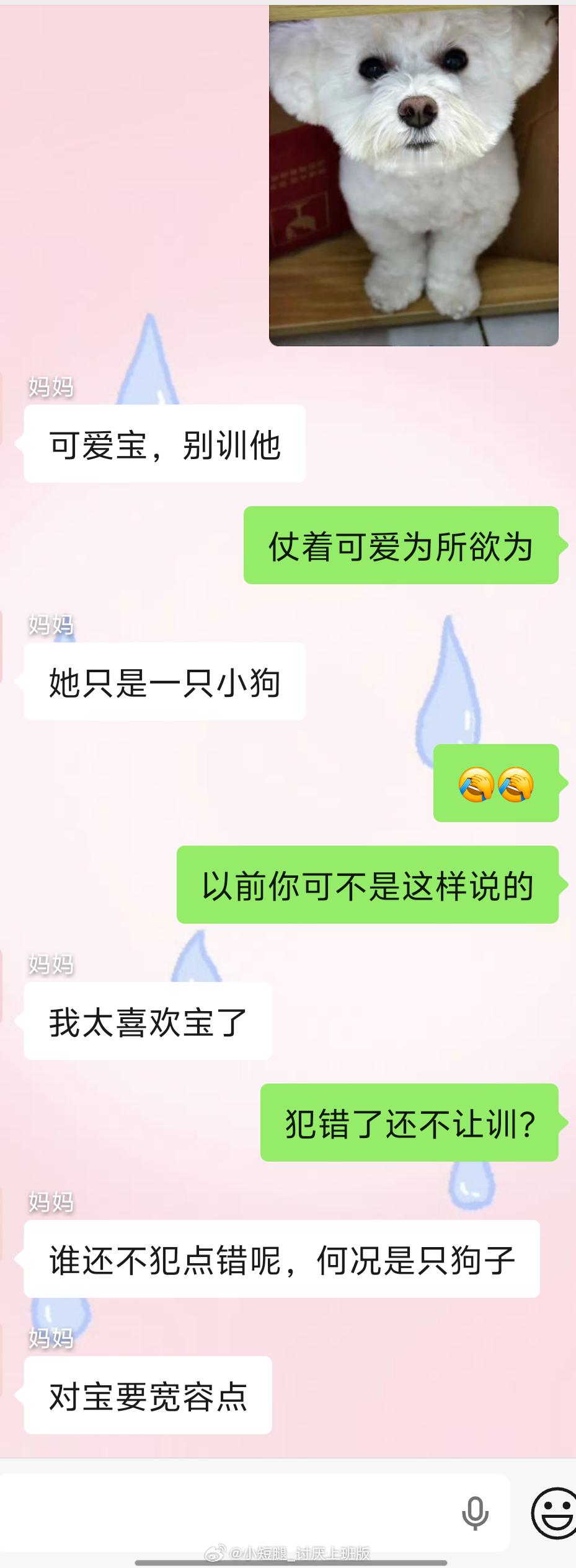 世界第一溺爱宝 ​​​