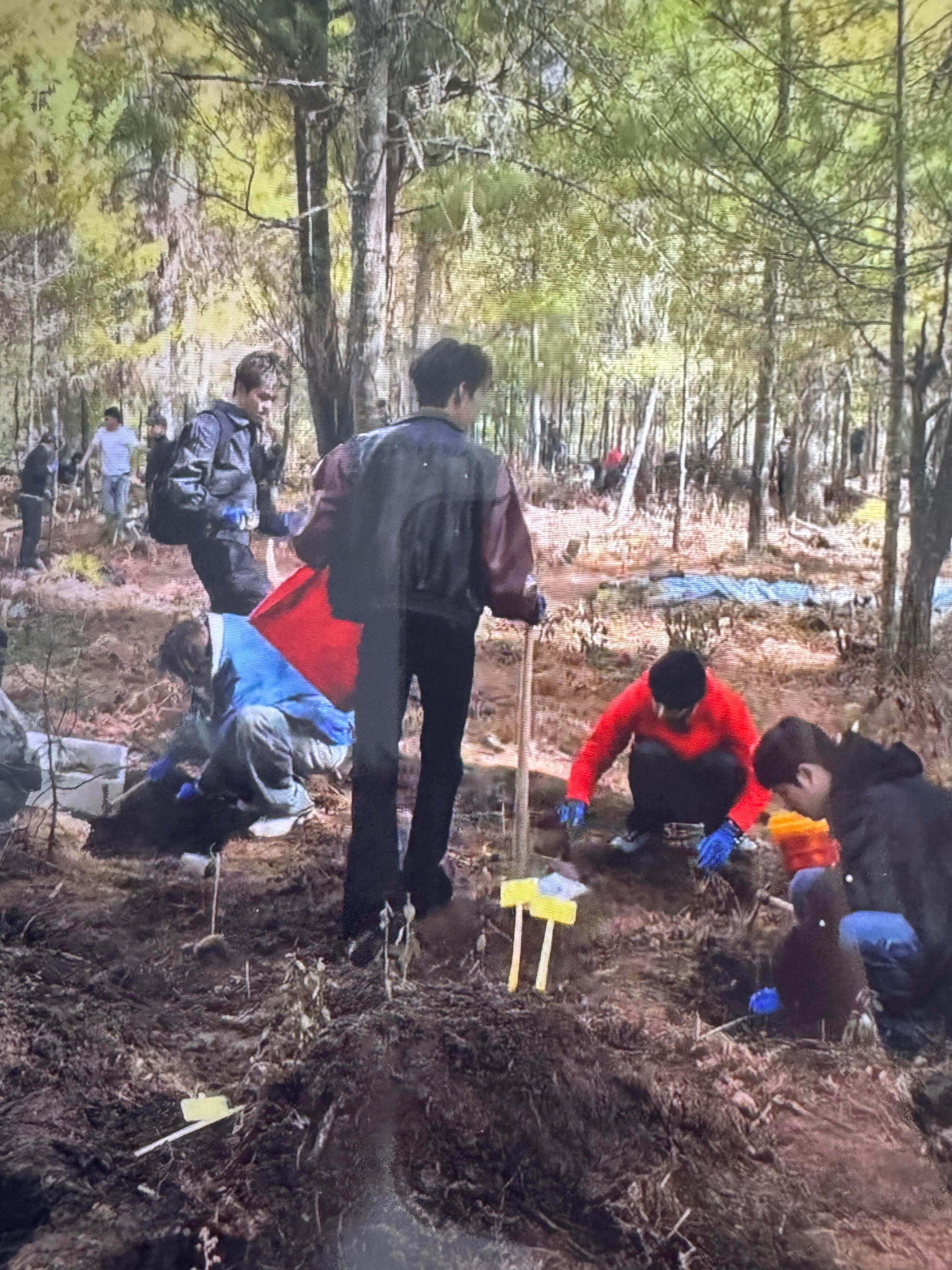 十个勤天 小何你再这样我真哭了到底能不能告诉我小何腿什么情况十个勤天  |  种