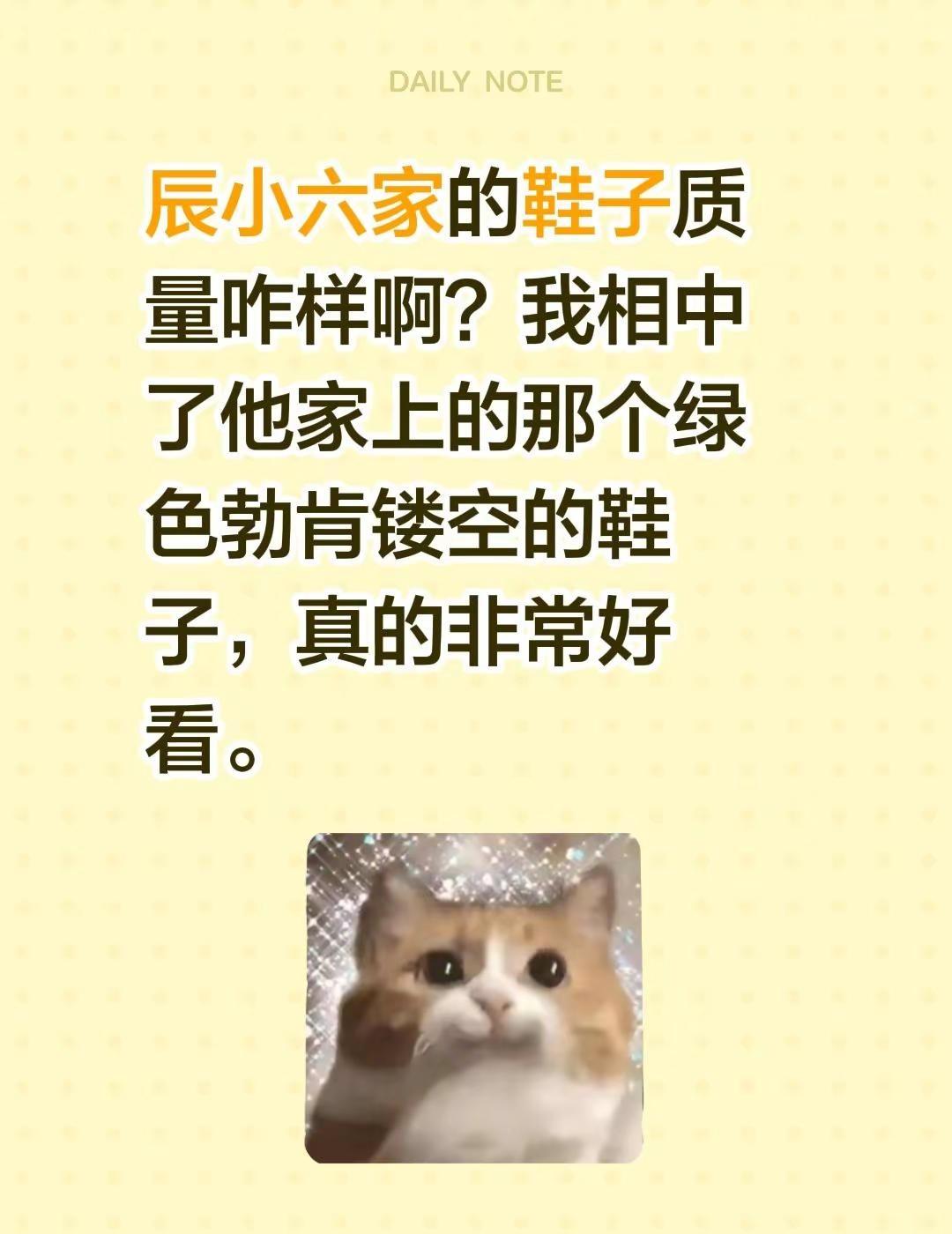 辰小六家的鞋子质量咋样啊？我相中了他家上的那个绿色勃肯镂空的鞋子，真的非常好看。