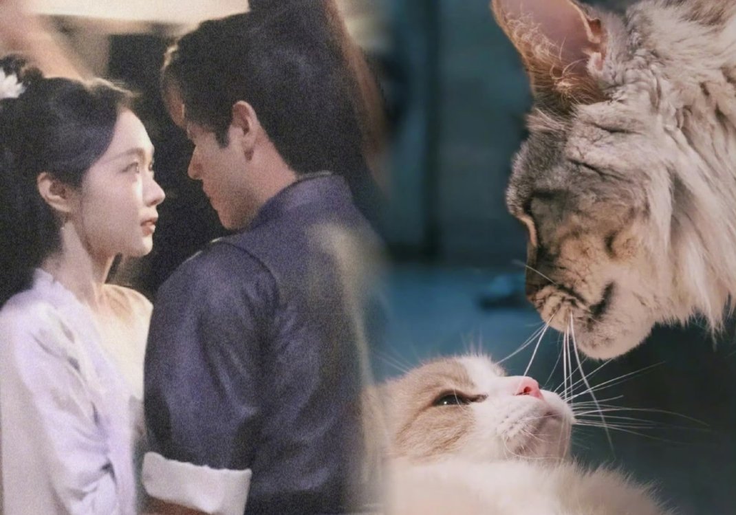 对啊猫猫塑宋轶的就是小天才[舔屏][舔屏][舔屏][舔屏]♥猫塑宋轶丞磊的人简直