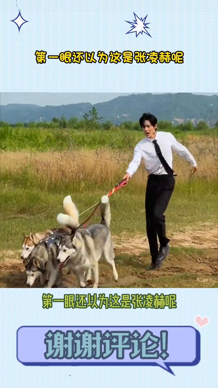 笑死，第一眼还以为这是张凌赫。一套行云流水的动作，诡异的跟A似的，还以为这是在拍