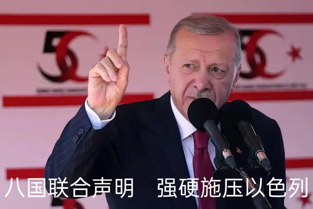 八国同步发声强硬表态，集体向以色列施压！

近日，土耳其、埃及、印尼、约旦、巴基