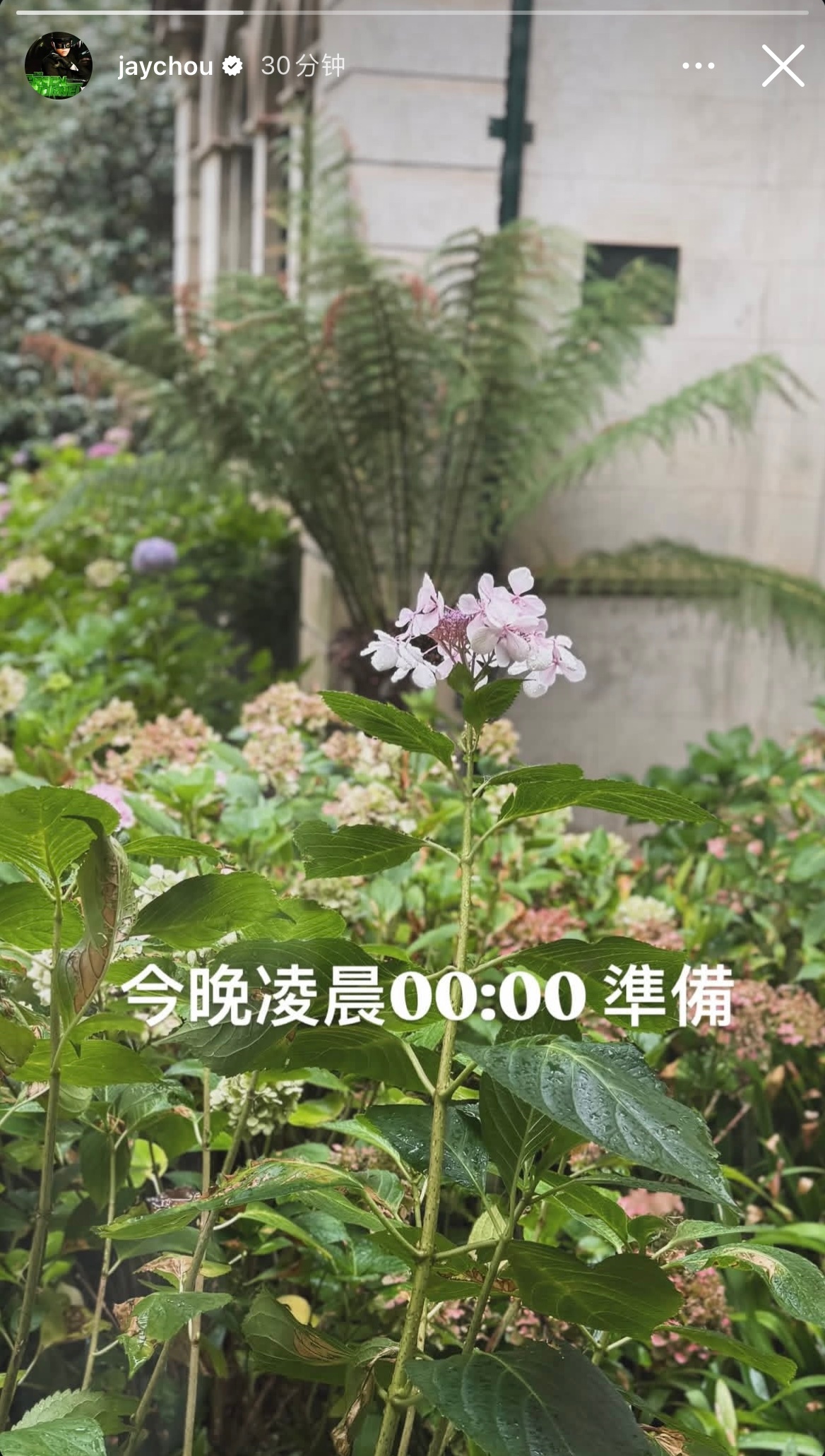 周杰伦新专辑预告来啦！！！！ 周杰伦说今晚0点准备