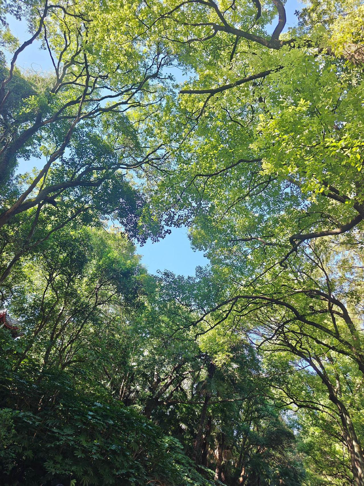 还会再次亲近大自然的一天 期待夏天吗