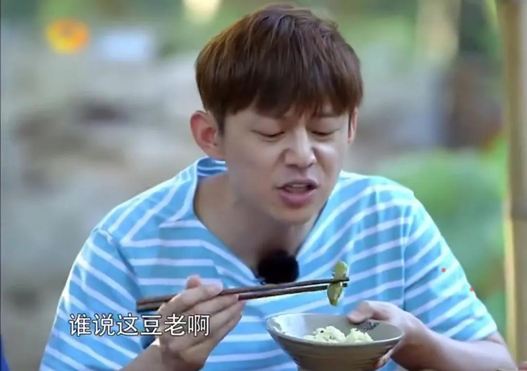 黄磊最近因为好厨艺上热搜了，
最为火爆的是豆角中毒事件，
真是太可笑了，
是什么
