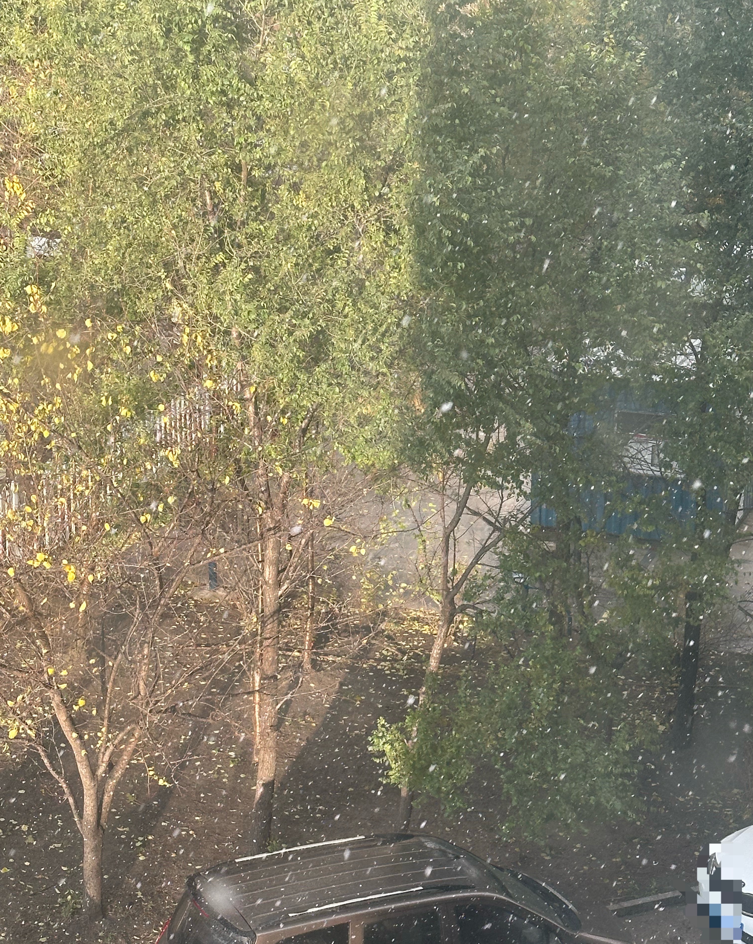 顶着个大太阳下雪了[疑问] ​​​