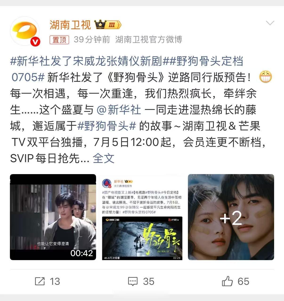 新华社发了宋威龙张婧仪新剧野狗骨头定档备受行业与媒体关注，宋威龙张婧仪主演《野狗