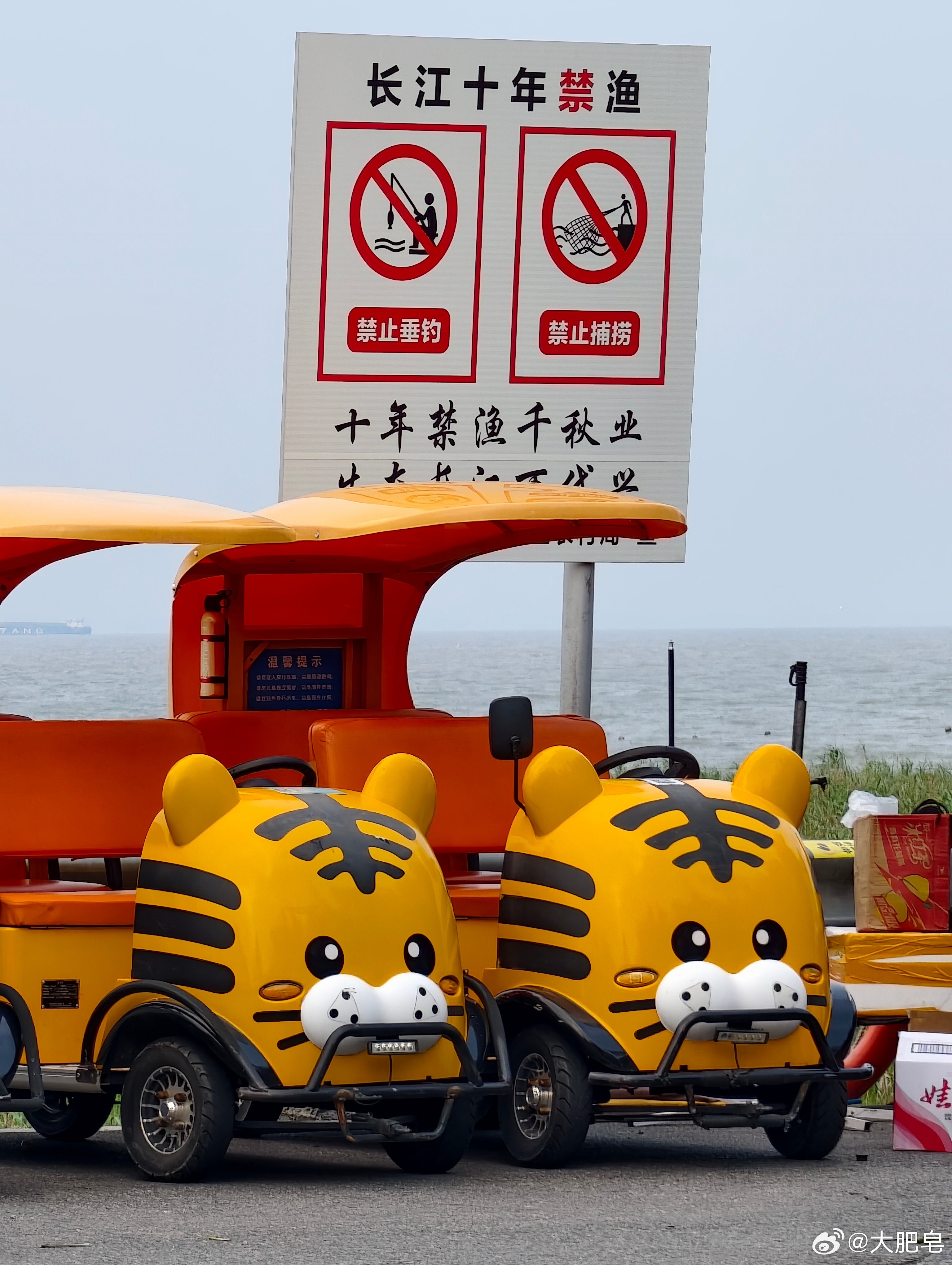 点赞过百 骑​​​