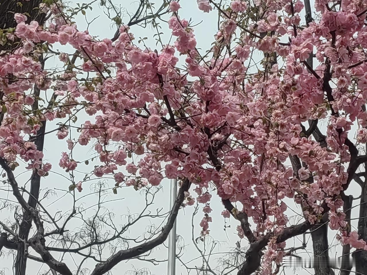 起早贪黑，忙忙碌碌，就这样一天天过着重复的生活，你会发现，只有人问你挣了多少钱，