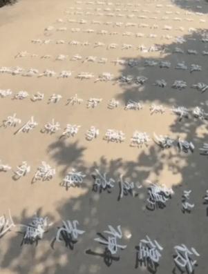 终于火到央视了！”河南周口，一男子在家闲的没事干，搬起板凳拿上笔和墨来到田地边的