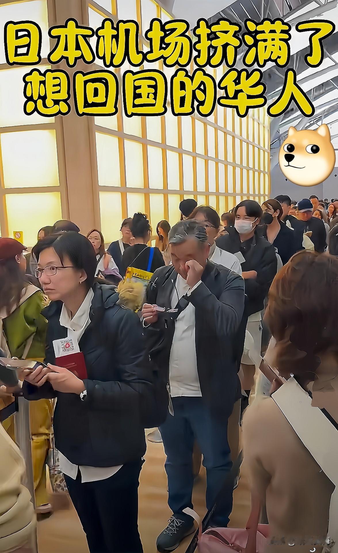 看着日本机场里那一堆堆的同胞，一个个面如土色，不知道的还以为是去哪受难了。

说