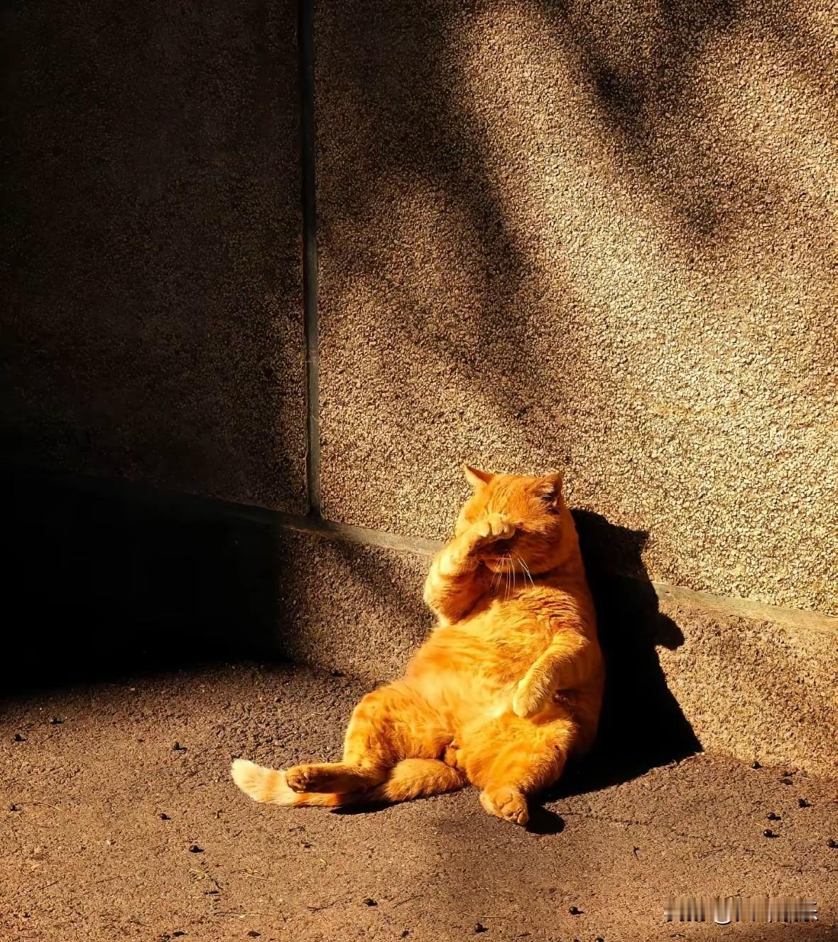 以前，和老妈出去买菜。看着老妈为了几毛钱和菜贩子讲价，觉得很不理解，不屑一顾。“