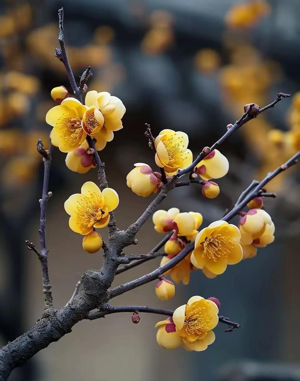 放学接娃听到两个家长的聊天，这话术……实在是牛[捂脸][捂脸][捂脸]
先声明不