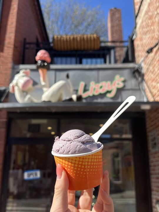 波士顿｜ 拉丝拉到心坎里的黑树莓冰激凌🍦