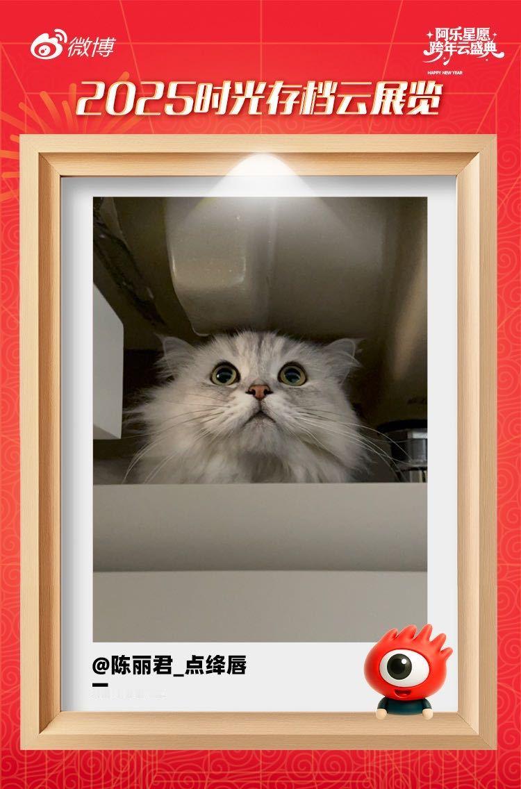 陈丽君的库存照是小猫组团去陈丽君家撸猫 猫奴君君上线！在阿乐云展览放出的2025
